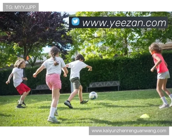 掌握开云网页登入技巧，提高使用效率